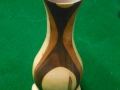 DSCN2587