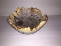 buckeye burl bowl